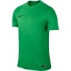 Camiseta Nike Park VI 725891-303