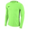 Camisa de Portero Nike Park Goalie III 894509-398