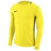 Camisa de Portero Nike Park Goalie III 894509-741