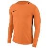 Camisa de Portero Nike Park Goalie III 894509-803