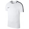 Camiseta Entrenamiento Nike Academy 18 893693-100