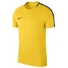 Camiseta Entrenamiento Nike Academy 18 893693-719
