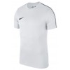 Camiseta Entrenamiento Nike Park 18 Trainning Top AA2046-100
