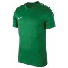 Camiseta Entrenamiento Nike Park 18 Trainning Top AA2046-302