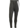 Calas adidas Tiro 24 Competition Winterized Pant IM9972