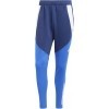 Calas adidas Tiro 24 Competition Winterized Pant IY0124