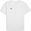 Camiseta Puma TeamRise 706132-04