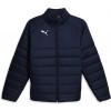 Chaquetn Puma TeamLiga Jacket Zip 658799-06