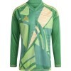 Maillot de Gardien adidas T24 C GK IS5352