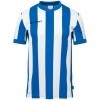 Camiseta Uhlsport Stripe 2.0 1002260-43