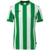 Camiseta Uhlsport Stripe 2.0 1002260-70