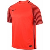 Camisa de Portero de Fútbol NIKE Gardien 725889-671