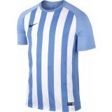 Camiseta de Fútbol NIKE Segment III 832976-412