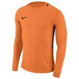 Camisa de Portero de Fútbol NIKE Park Goalie III 894509-803