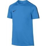 Camiseta Entrenamiento de Fútbol NIKE Dry Academy Top 832967-470