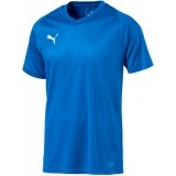 Camiseta de Fútbol PUMA Liga Core 703509-02