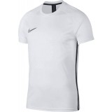 Camiseta Entrenamiento de Fútbol NIKE Dri-FIT Academy AJ9996-100
