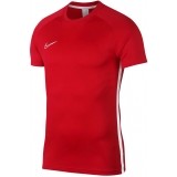Camiseta Entrenamiento de Fútbol NIKE Dri-FIT Academy AJ9996-657