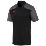 Camiseta Entrenamiento de Fútbol PUMA ftblNXT Pro Tee 656427-01