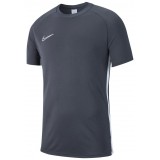 Camiseta Entrenamiento de Fútbol NIKE Academy 19 AJ9088-060