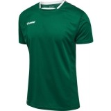 Camiseta de Fútbol HUMMEL HmlAuthentic Poly 204919-6140