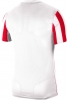 Camiseta Nike Striped Division IV