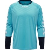 Camisa de Portero de Fútbol HUMMEL Essential 04087-7905