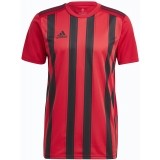 Camiseta de Fútbol ADIDAS Striped 21 GV1381