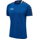 Camiseta Entrenamiento de Fútbol HUMMEL HmlAutenthic Training Tee 205379-7045