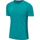 Camiseta Entrenamiento de Fútbol HUMMEL HmlAutenthic Pro  204602-8745