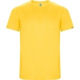 Camiseta Entrenamiento de Fútbol ROLY Imola CA0427-03