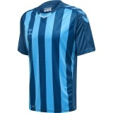 Camiseta de Fútbol HUMMEL HmlCore XK Striped 211458-7096