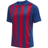 Camiseta de Fútbol HUMMEL HmlCore XK Striped 211458-7358