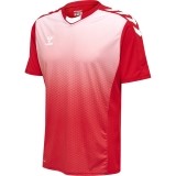 Camiseta de Fútbol HUMMEL HmlCore XK Sublimation Jersey 211459-3062