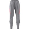 Calas adidas Tiro 24 Competition Winterized Pant