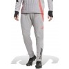 Calas adidas Tiro 24 Competition Winterized Pant