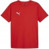 Camiseta Puma TeamRise