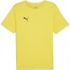 Camiseta Puma TeamRise