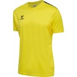 Camiseta de Fútbol HUMMEL Hml Authentic Poly Jersey S/S 219964-5269